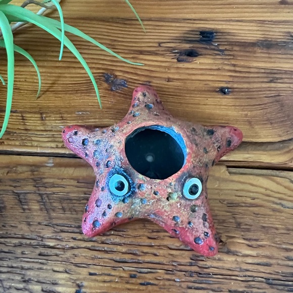 Adorable Starfish Air Plant Holder Ocean Beach Coastal Decor Kids Nursery - Picture 3 of 4